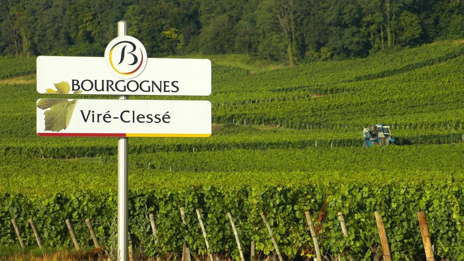Le Clos Violet For 6 Hébergement de vacances Clessé